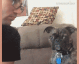 I can smell your bad breath through your mouth!,隔着嘴我都能闻到你的口臭！