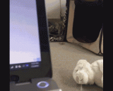 123木头人 - 123 wood man