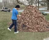 哈哈这个爹真调皮，简直了！ - Ha ha, this father is really naughty, almost!