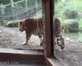 睡你麻痹起来嗨....嗨你麻痹给我滚.... - Sleep you paralyzed. Hi. Hey, you get paralyzed.