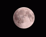 Red moon, full moon full eclipse of the whole process, beautiful,赤红之月，月全食直播全过程， 好美