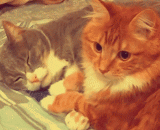 Hum, no one wants to beat the idea of a silly woman in my house,哼，谁也别想打我家傻女人的主意