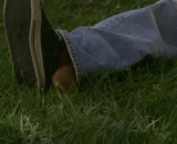 这女的表情亮了！我也想养小仓鼠了…… - The woman's expression is bright! I want to keep a hamster, too...