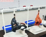 The difference between smoking lung and healthy lung,吸烟肺和健康肺的区别