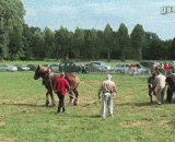 一匹马与二十个人的拔河比赛，好马力！ - A horse and twenty men's tug of war, good horsepower!