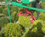 A tall gardening pruner...,高大上的园艺修剪机……