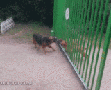 网络喷子大概是这样吧 - The network spray is probably the way it is