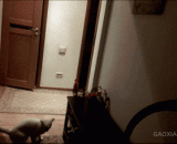 如何让你的猫帮你关灯 - How to let your cat turn off the lights for you