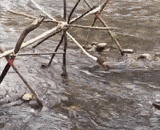 水力传动烧烤，简单实用！ - Hydraulic transmission barbecue, simple and practical!