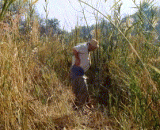 这两个熊孩子智商略高啊 - The two bear children have a slightly higher IQ