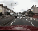 一只守交通规则的喵 - A meow with a traffic rule.