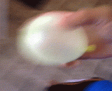 “元气弹，发射！” “妈的智障！” - 