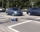 蒙上眼睛，车底下做俯卧撑，这逼装的我服 - Blindfolded and push ups under the bottom of the car, forcing me to dress.