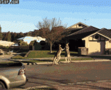 在澳洲生活，没事还能看两场袋鼠拳击赛 - Living in Australia, we can see two kangaroo boxing matches.