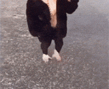 The return of the little prince of the night store,夜店小王子归来