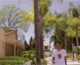 男巫zachking要出门了 - The wizard zachking wants to go out