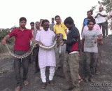 Labor for you to shoot, bite you!,劳资让你再拍，咬你！