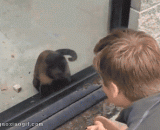 Look at me and look at me quickly,看我看着我快点看着我