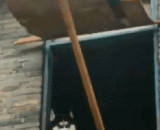 我的西门庆今天怎么还没来呢 - Why didn't my Ximen Qing come here today