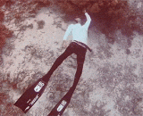 There was a circle in the deep sea, and I didn't expect it to be so beautiful,深海里吐了个圈圈，没想到这么漂亮