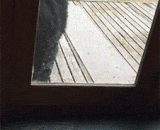 当熊遇到猫.....卧槽卧槽卧槽，这特么啥 - When a bear meets a cat... Lying trough, lying trough, lying trough, what is this special?