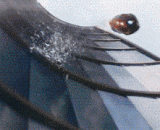 钢铁侠：这TM？？？？？ - Iron Man: this TM????