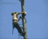 原来伐木工是这么危险的一份工作…… - The woodcutter was such a dangerous job.