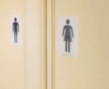 Which is the female toilet and which is the men's toilet?,到底哪个是女厕哪个是男厕？