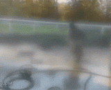 Life is to know how to be happy and good.,生活就是要懂得自得其乐，好魔性！