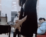 真会玩！开始我以为穿的隐形胖次咧... - Really play! At first I thought I had to wear stealth and fat.