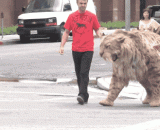 歪国仁牵着剑齿虎逛街[8P] - A crooked country is holding a sword tooth tiger to go shopping [8P]