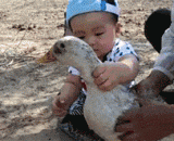 再不听话就吃了你，熊孩子好凶残！ - Do not listen to you, bear child is very cruel!