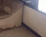 Ha ha ha, if you say it, you may not believe it. The sofa is the first thing to do!,哈哈哈哈，说出来你可能不信，是沙发先动手的！