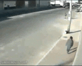 卧了个槽，幸好前面有根电线杆 - I've got a slot, and fortunately there's a wire rod in front of it