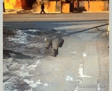 Big brother, can you have a snack,大哥，你可长点心吧