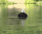 如何吓死钓鱼的人[3P] - How to frighten the person to die fishing [3P]