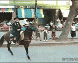 You're not my master silver, get down to me!,你不是我主银，快给我滚下来！