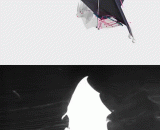 蝙蝠飞行的原理 - The principle of bats flying