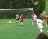 这任意球弧线简直就是卡洛斯附体！ - This free ball arc is simply Carlos's attachment!