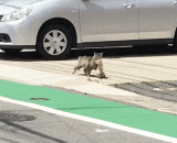 放学后去网吧，然后被妈妈抓回家的你 - After school, I'll go to the Internet bar and then be caught by my mother.