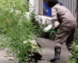 你这样会失去本宝宝的！！你给我回来陪本宝宝玩一会！ - You will lose this baby in this way! You'll come back and play with this baby for a while!