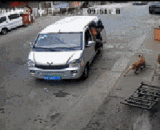 How the van robbed the dog,面包车是如何盗狗的