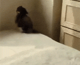 快下来了啦那里好危险的 - It's coming down there. It's dangerous.