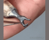 铅笔尖上的雕刻：爱心 - The carving on the tip of a pencil: love