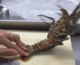 Not to be fine after the founding of the people's Republic of China,说好的建国后不许成精的呢