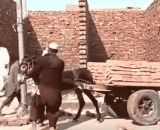 这么缷货，有考虑过驴的感受么 - So do you think about the feeling of the donkey