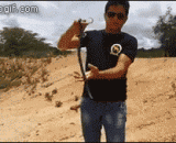 拍死你个熊孩子，人家要表演生吃蛇，你抢什么镜？ - Shoot your bear child. What kind of mirror do you want to eat raw snake?