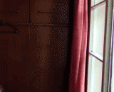 Just walked out of the air-conditioned room, is this the legendary heat explosion?,刚走出空调间的你，难道这就是传说中的热炸了