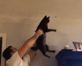 卧槽，家里有虫子自己又不敢捉怎么办？[2P] - How can I do it when I have a worm in my house and I dare not catch it? [2P]