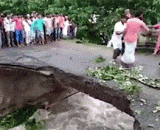 洪水中过桥要小心，发生于印度，都被冲走了~ - Be careful when crossing the bridge in the flood. It happened in India and was washed away.